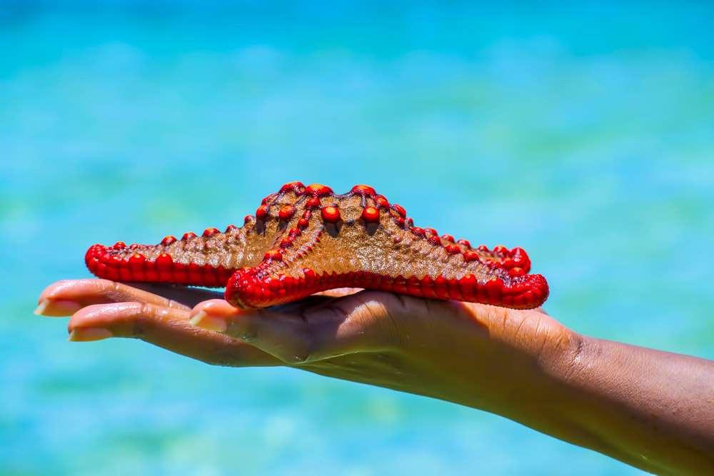 Mombasa Beach Hotel Olanaklar fotoğraf
